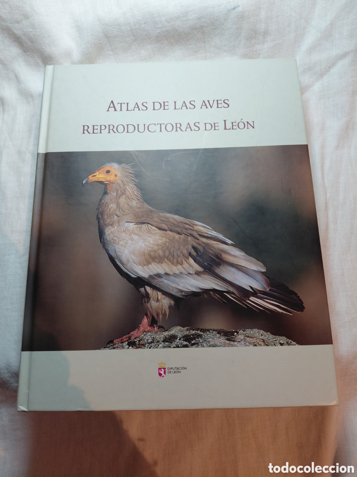 Libri di seconda mano: ATLAS DE LAS AVES REPRODUCTORAS DE LEON.JAVIER GARCIA.ALBERTO RAMOS.XABIER VAZQUEZ.2008