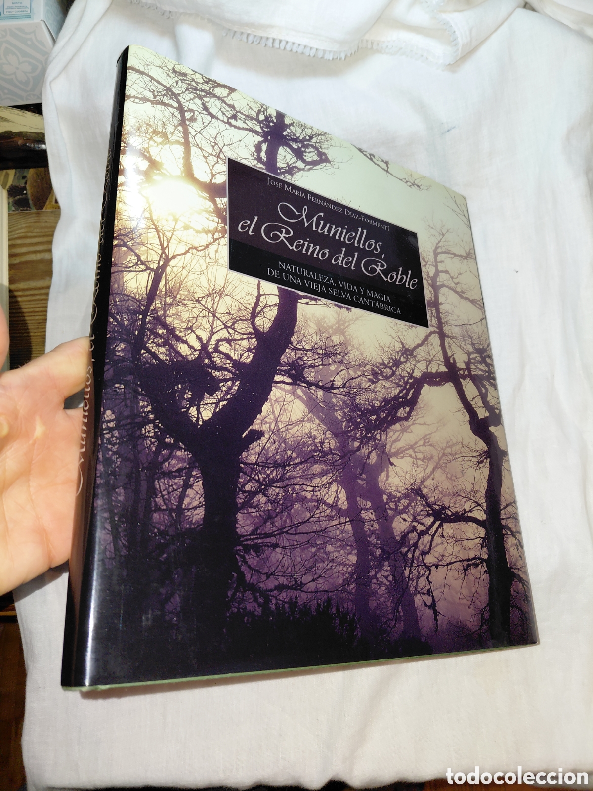 Libros de segunda mano: MUNIELLOS EL REINO DEL ROBLE.NATURALEZA VIDA Y MAGIA DE UNA VIEJA SELVA CANTABRICA.JOSE MARIA FERNAN