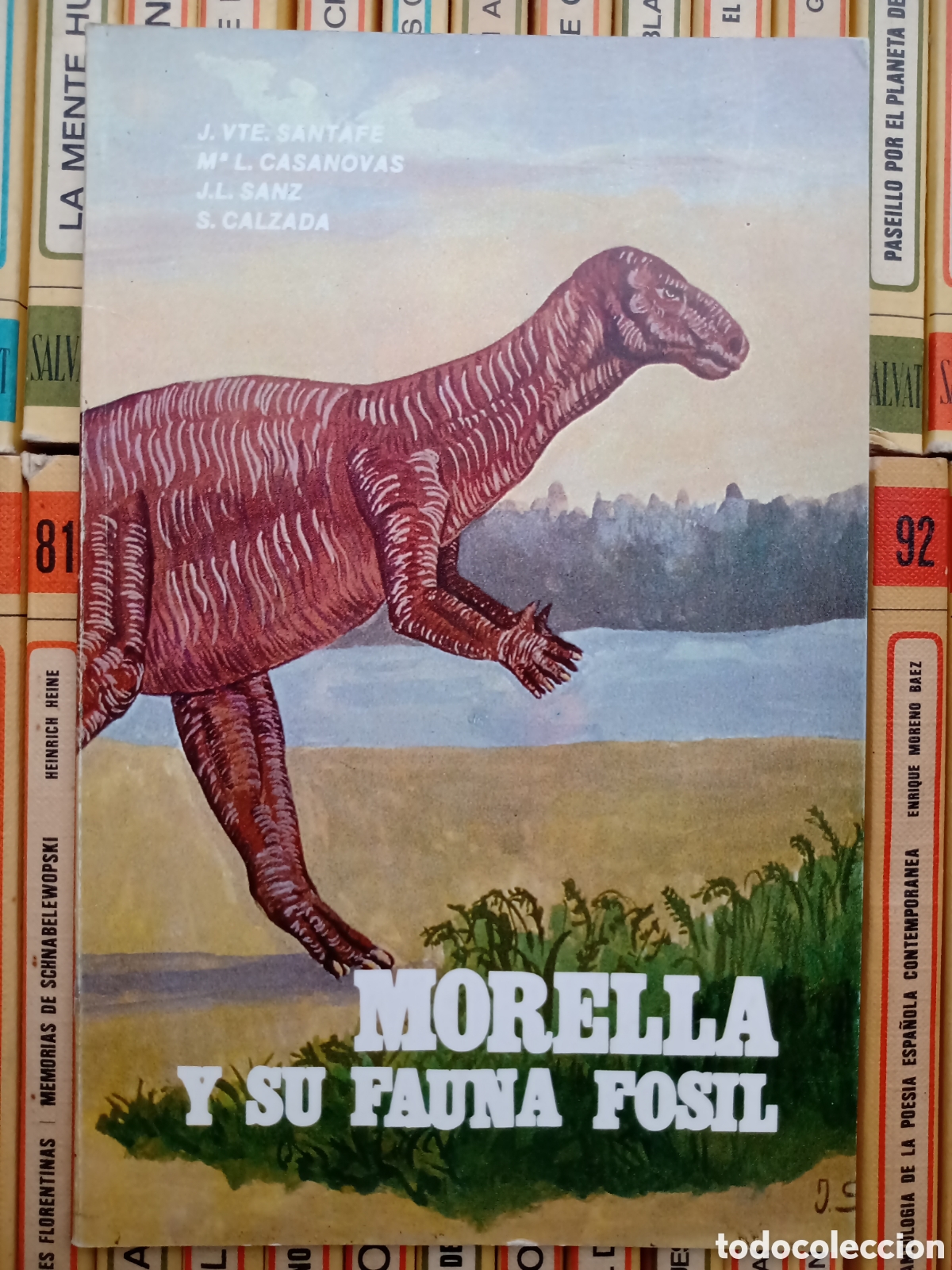 Libros de segunda mano: Morella y su fauna f&oacute;sil, 1982