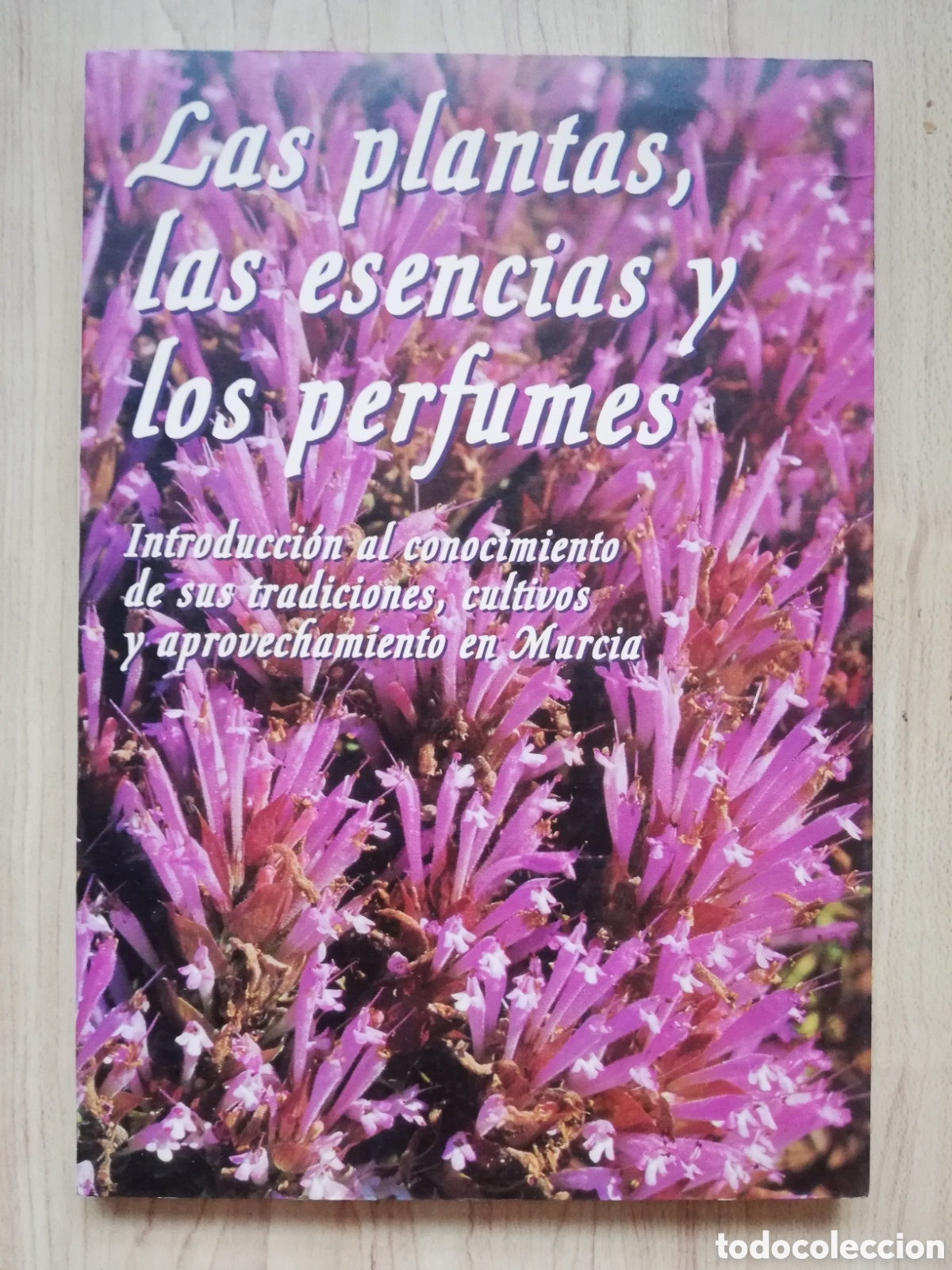 Libri di seconda mano: Las plantas, las esencias y los perfumes. Introducci&oacute;n al conocimiento de sus tradiciones en Murcia