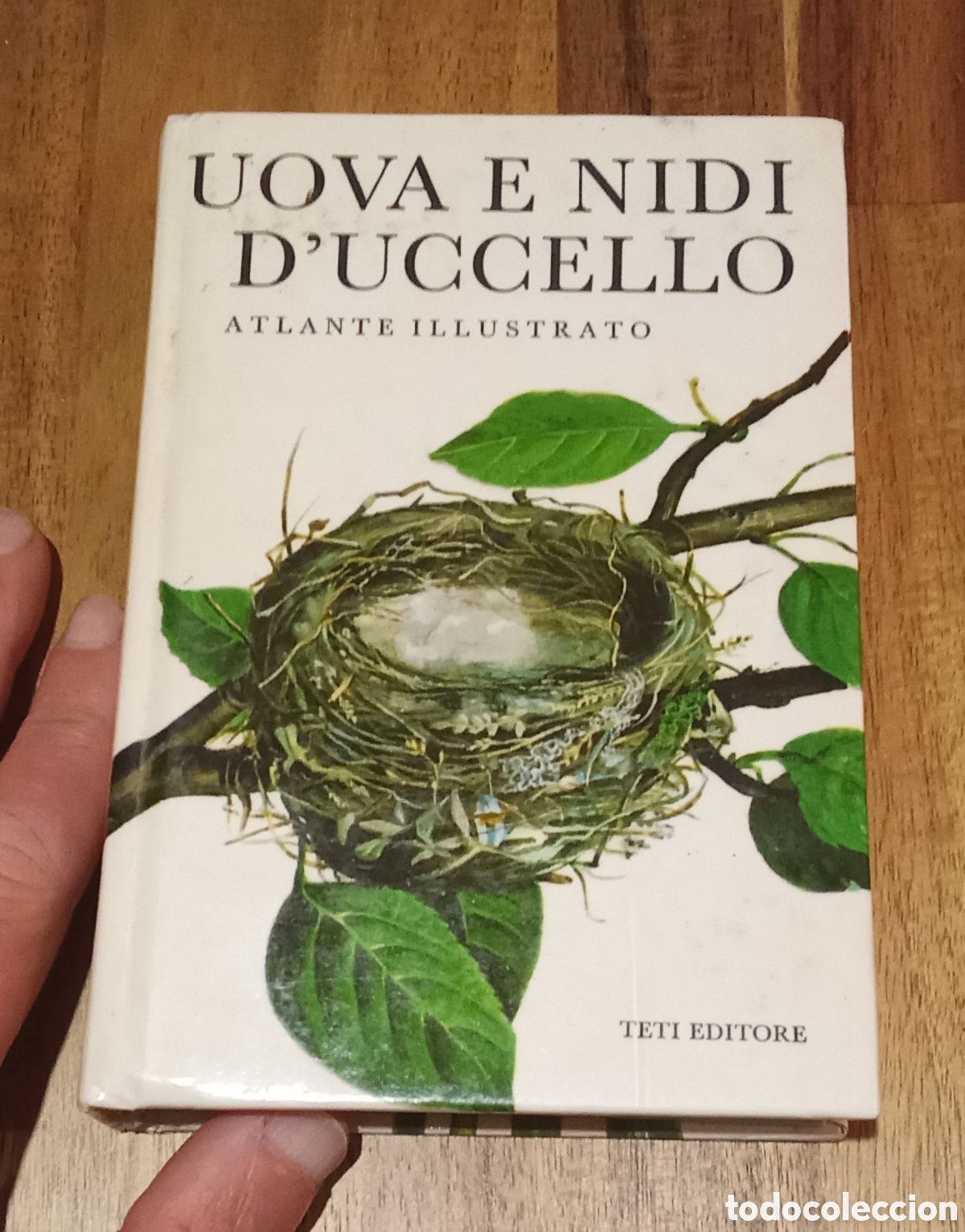 Libros de segunda mano: Libro Huevos y Nidos de p&aacute;jaros. En italiano. UOVA E NIDI D' UCELLO. Ornitolog&iacute;a. Aves.