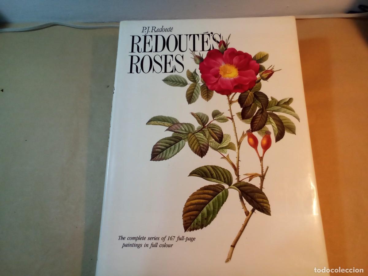 Libros de segunda mano: REDOUTES ROSES DE PIERRE JOSEPH REDOUT&Eacute;. En ingl&eacute;s. - Foto 1