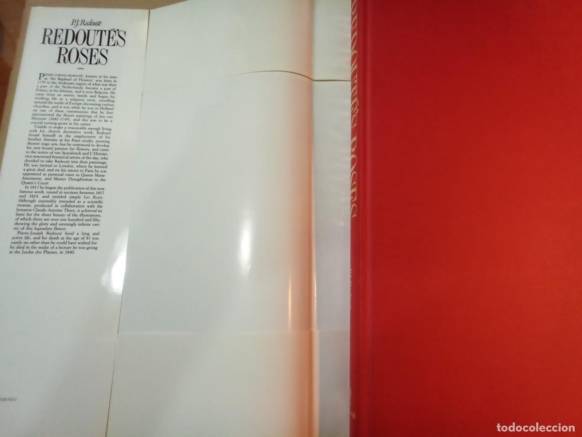 Libros de segunda mano: REDOUTES ROSES DE PIERRE JOSEPH REDOUT&Eacute;. En ingl&eacute;s. - Foto 2