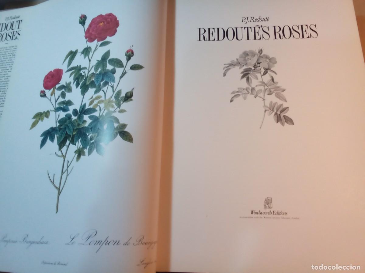 Libros de segunda mano: REDOUTES ROSES DE PIERRE JOSEPH REDOUT&Eacute;. En ingl&eacute;s. - Foto 3