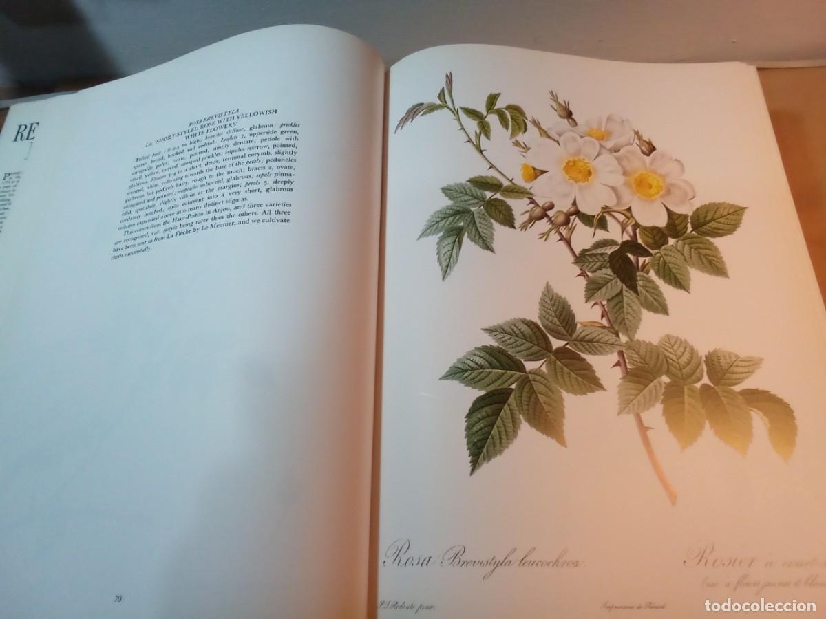 Libros de segunda mano: REDOUTES ROSES DE PIERRE JOSEPH REDOUT&Eacute;. En ingl&eacute;s. - Foto 7