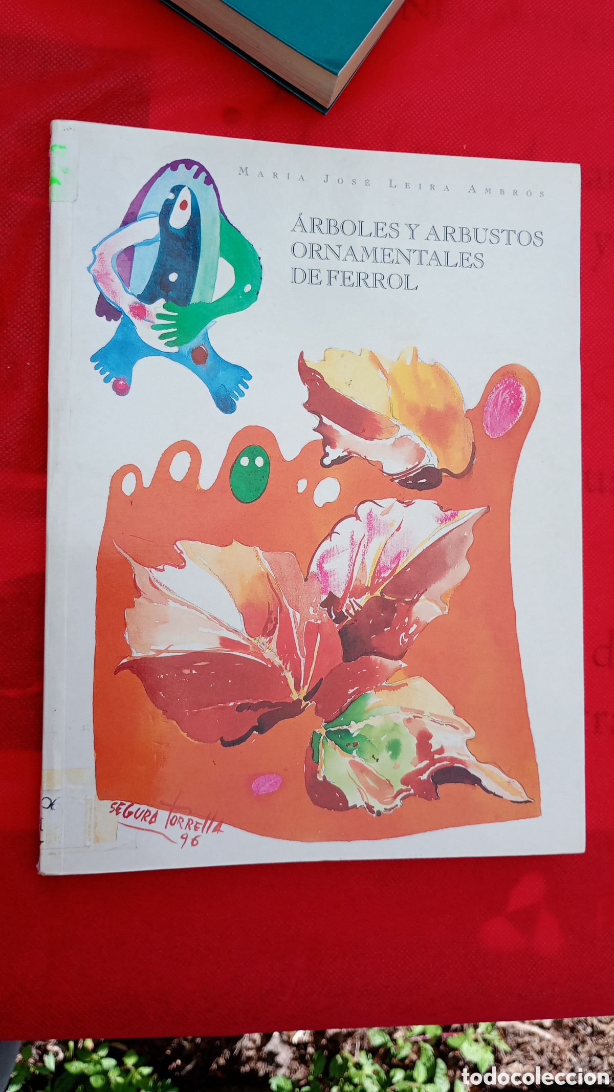 Libros de segunda mano: &Aacute;rboles ornamentales de Ferrol. Mar&iacute;a Jos&eacute; Leira Ambr&oacute;s