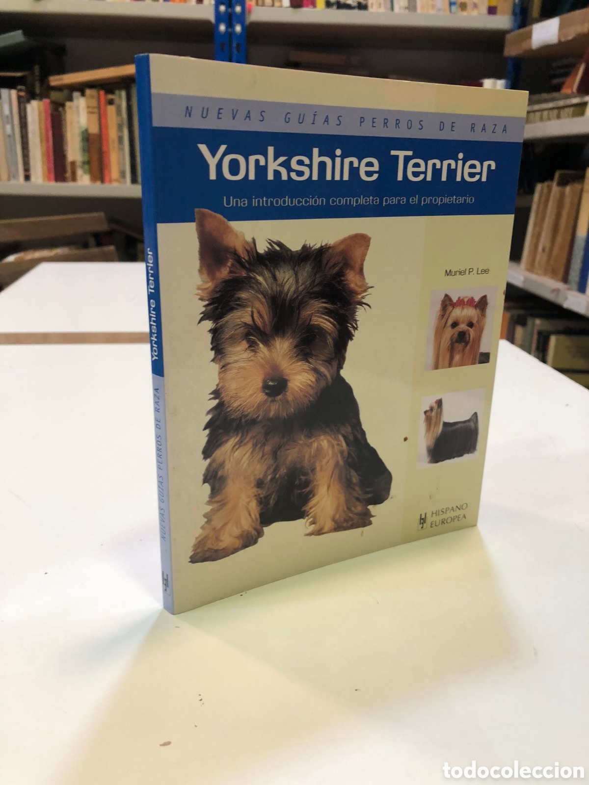 Second hand books: Yorkshire Terrier. Una introducci&oacute;n completa para el propietario - Muriel P. Lee