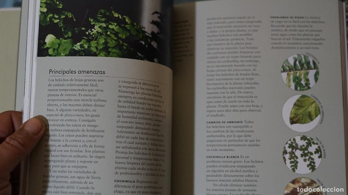 Libros de segunda mano: William Davidson - Plantas de interior - Cinco tintas 2021 - Foto 3