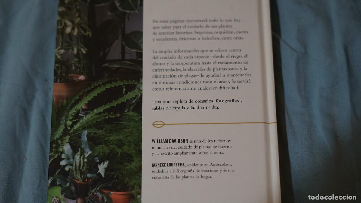 Libros de segunda mano: William Davidson - Plantas de interior - Cinco tintas 2021 - Foto 5