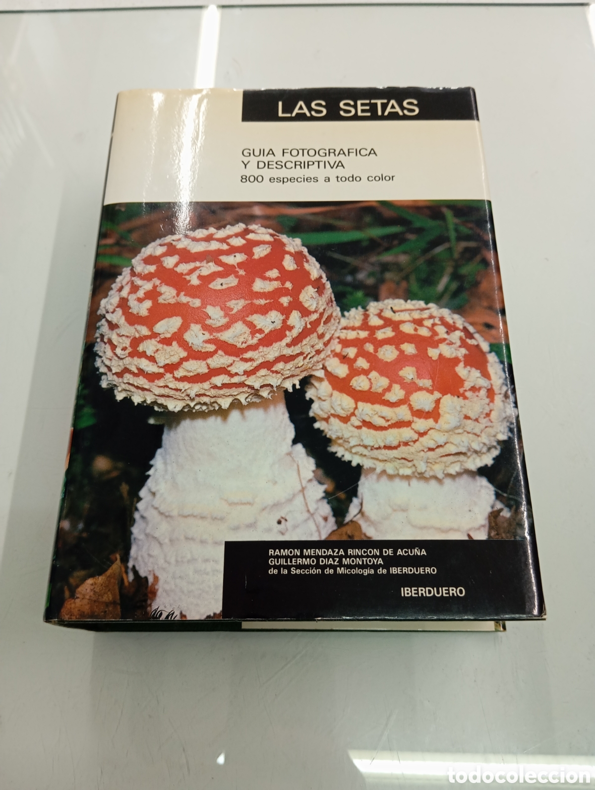 Libros de segunda mano: LAS SETAS GUIA FOTOGRAFICA Y DESCRIPTIVA RAMON MENDAZA IBERDUERO La biblia micologica