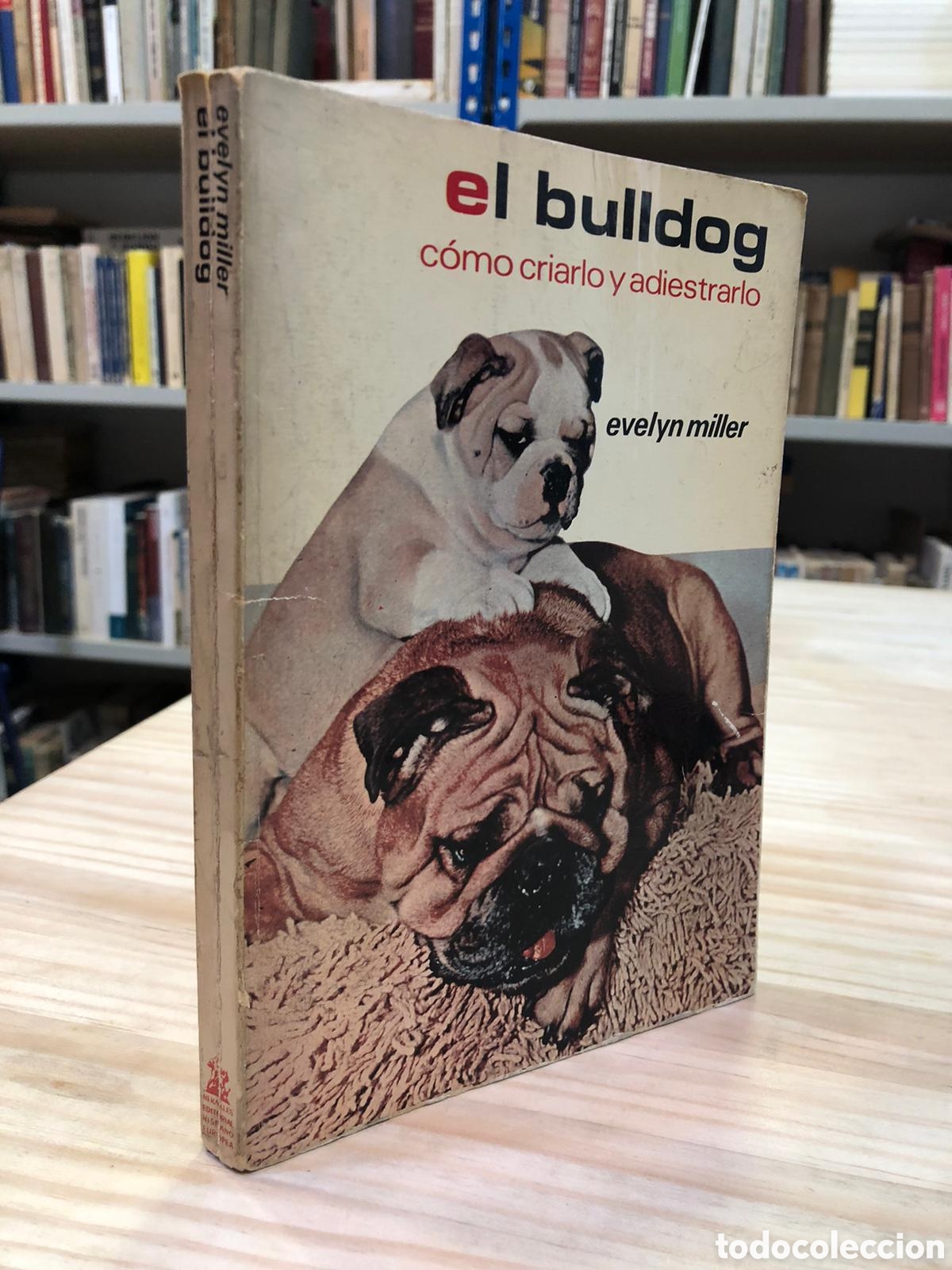 Gebrauchte B&uuml;cher: El bulldog. C&oacute;mo criarlo y adiestrarlo - Evelyn Miller