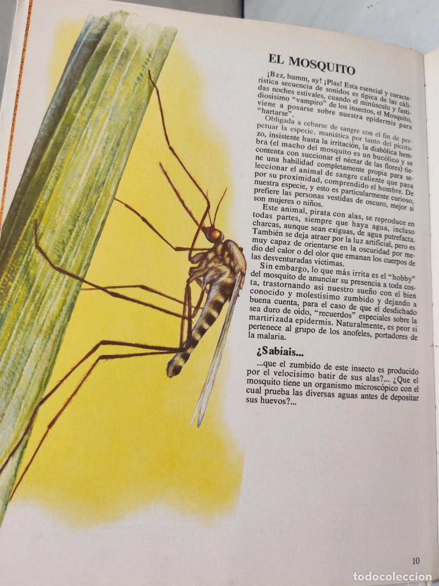 Libros de segunda mano: Vida &iacute;ntima de los animales del lago y del pantano - Foto 4
