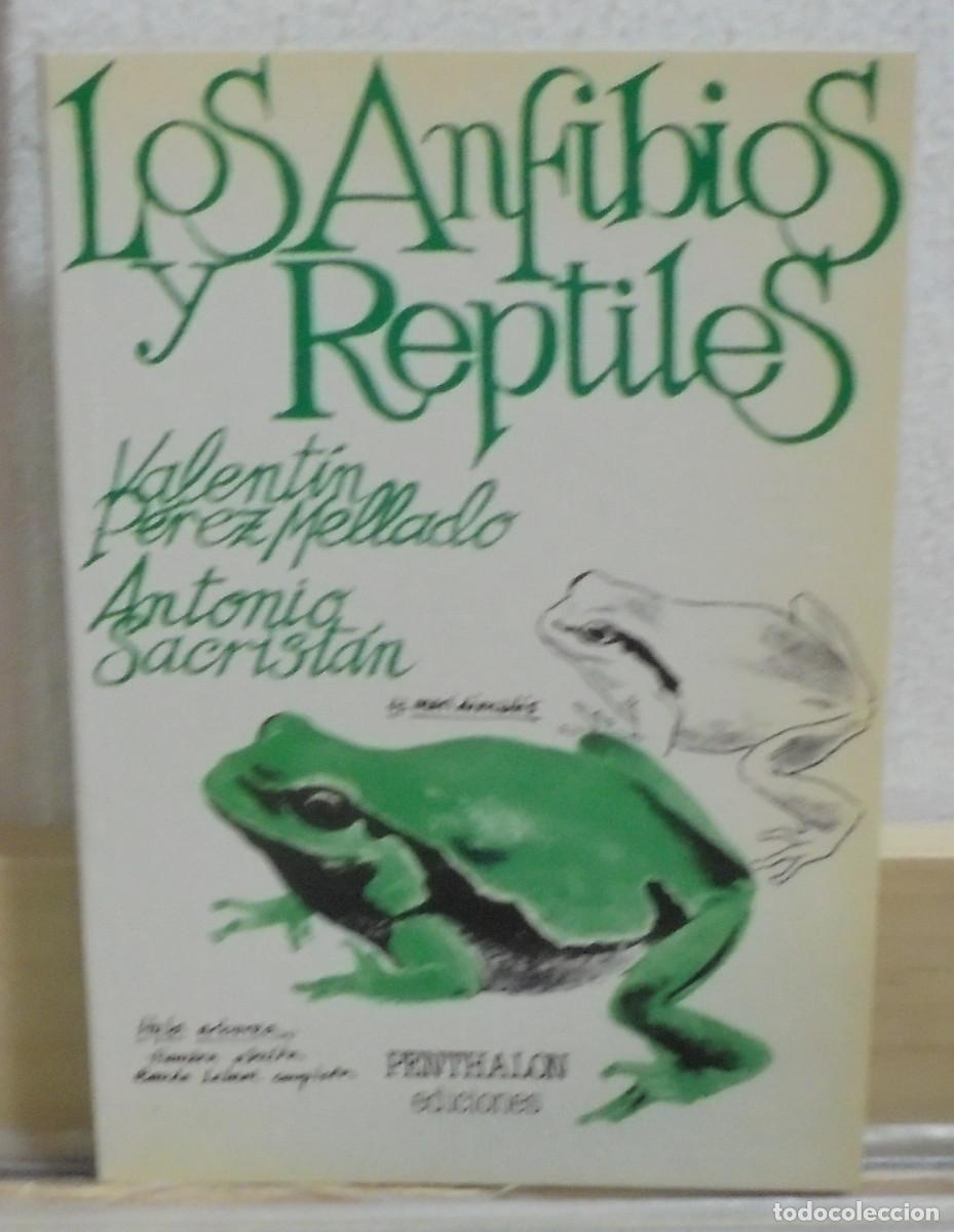 Libros de segunda mano: Los anfibios y reptiles. Valent&iacute;n P&eacute;rez Mellado, Antonio Sacrist&aacute;n