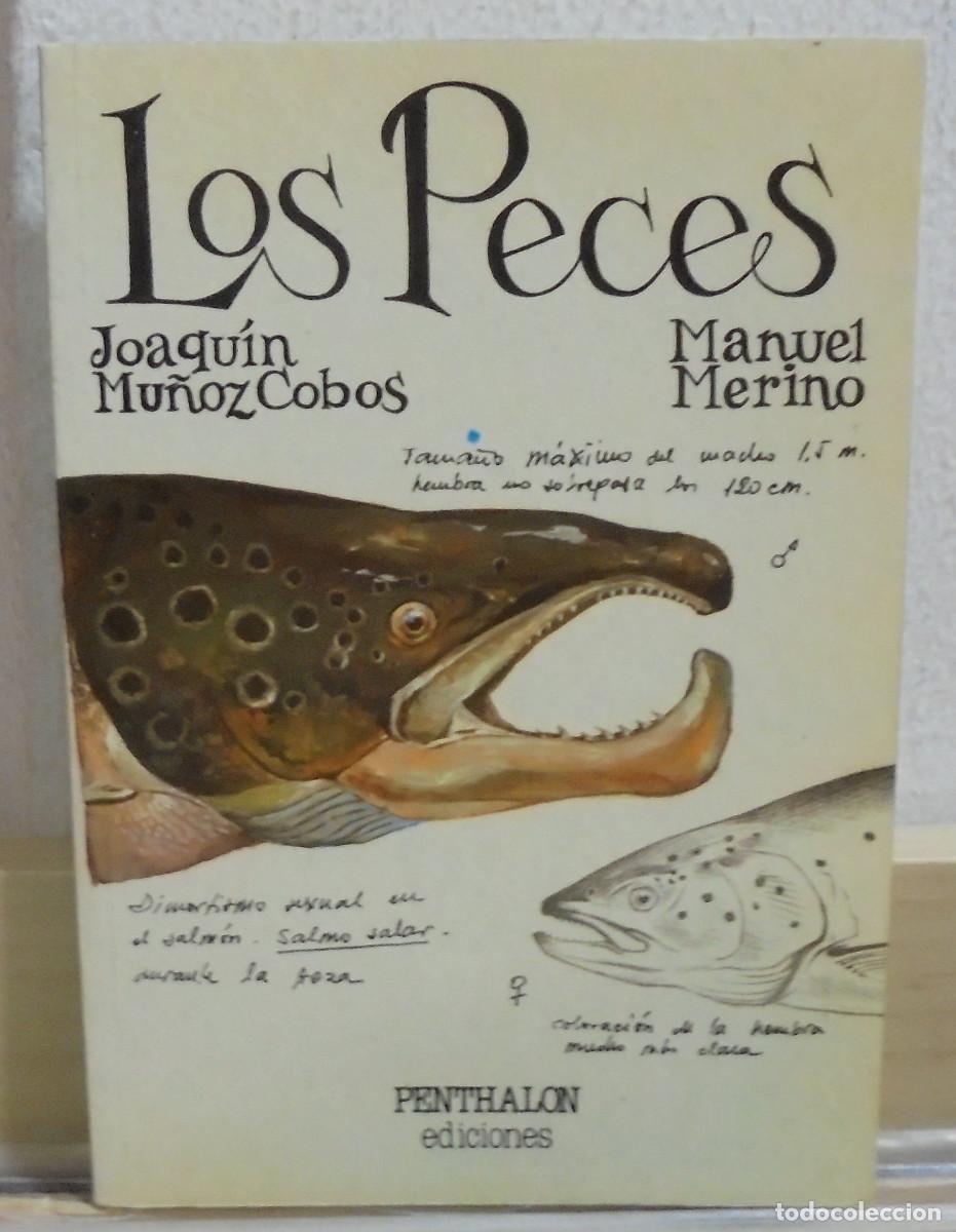 Libros de segunda mano: Los peces. Joaqu&iacute;n Mu&ntilde;oz Cobos, Manuel Merino - Foto 1