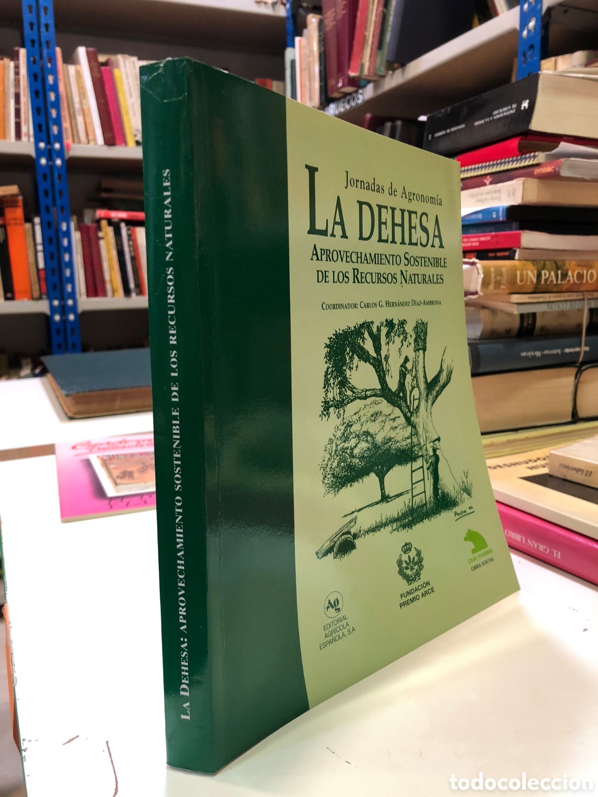 Gebrauchte B&uuml;cher: La dehesa. Aprovechamiento sostenible de los recursos naturales - Carlos G. Hern&aacute;ndez D&iacute;az-Ambrona