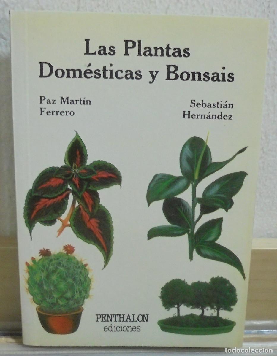 Libros de segunda mano: Las plantas domesticas y bonsais. Paz mart&iacute;n Ferrero, Sebastian Hernandez