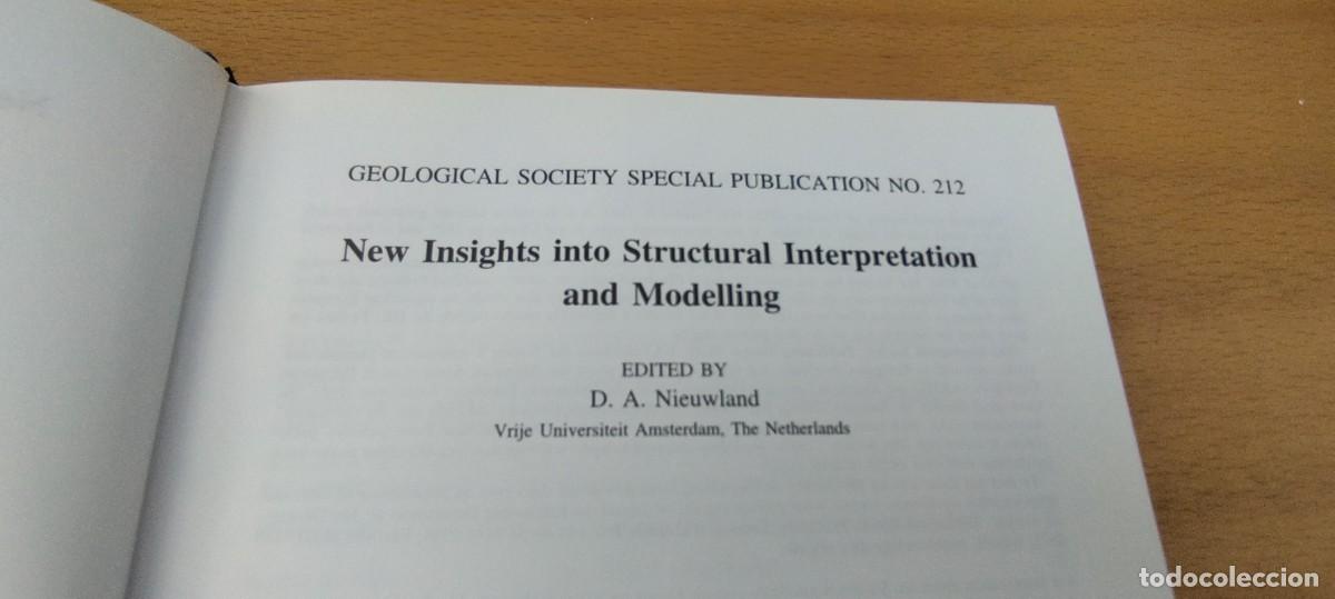 Libros de segunda mano de ciencias: NEW INSIGHTS INTO STRUCTURAL INTERPRETATION AND MODELLING/NIEUWLAND/ - Foto 8