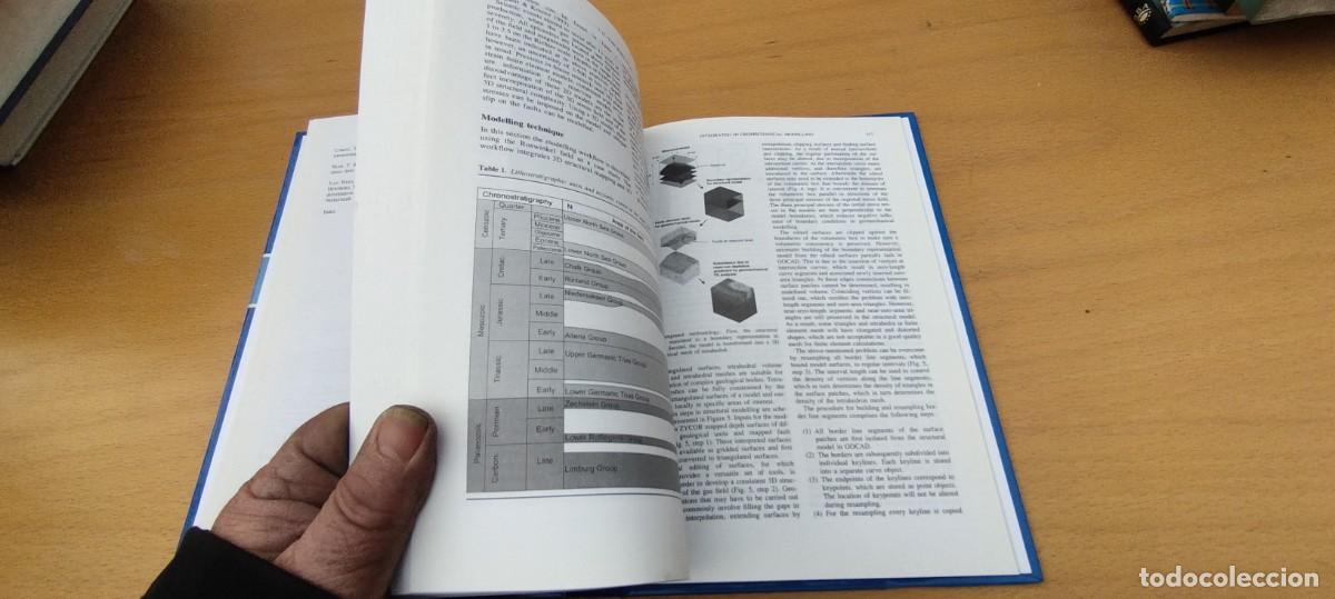 Libros de segunda mano de ciencias: NEW INSIGHTS INTO STRUCTURAL INTERPRETATION AND MODELLING/NIEUWLAND/ - Foto 14