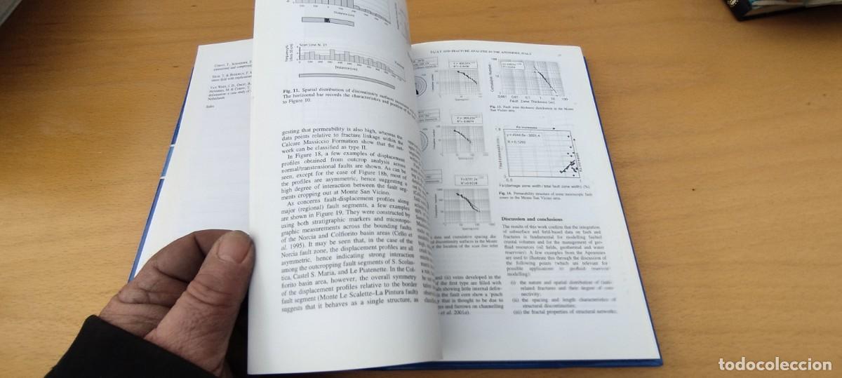 Libros de segunda mano de ciencias: NEW INSIGHTS INTO STRUCTURAL INTERPRETATION AND MODELLING/NIEUWLAND/ - Foto 20