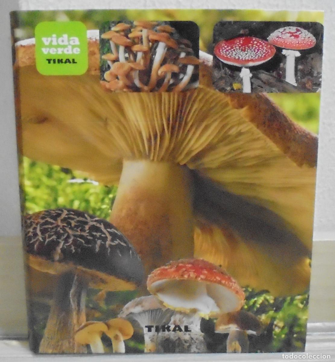 Libros de segunda mano: Setas de Espa&ntilde;a y Europa - Colecci&oacute;n vida verde