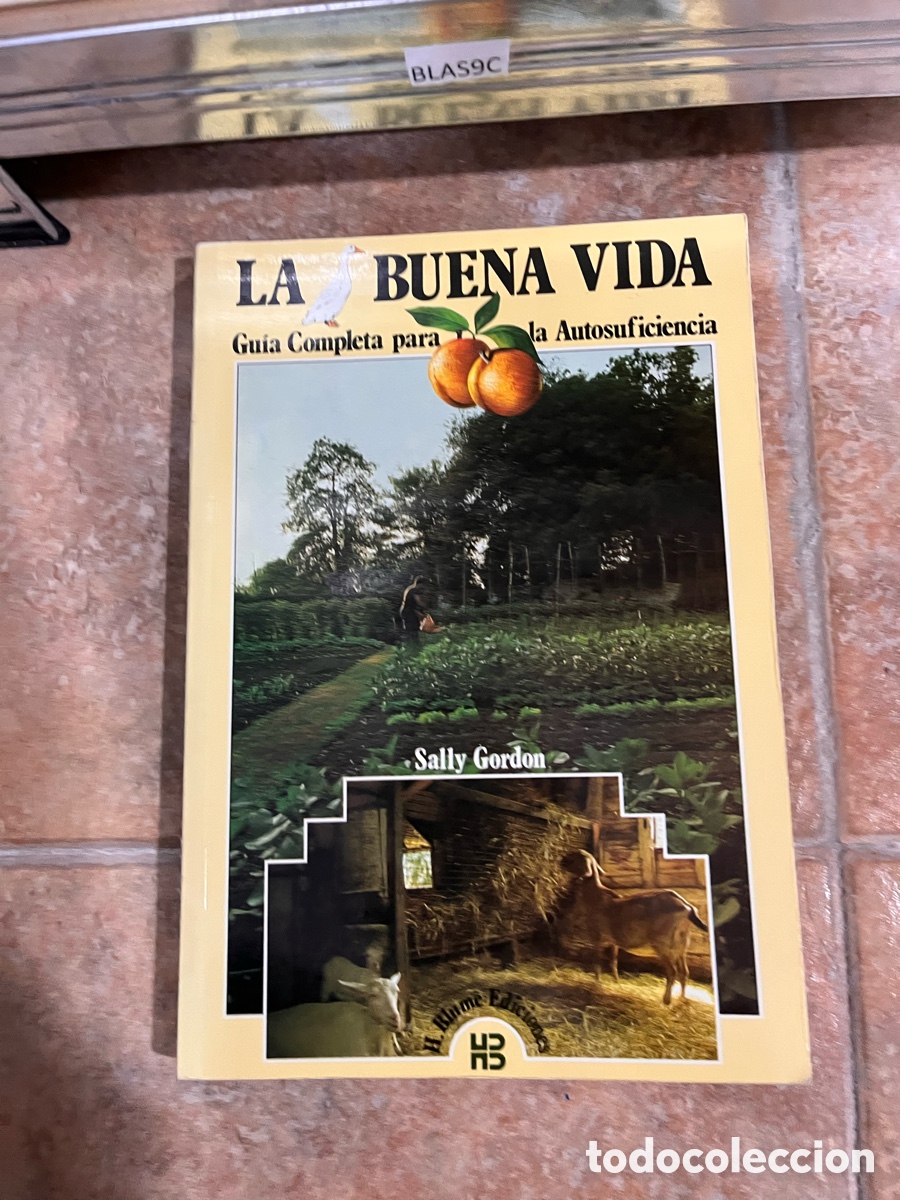 Libros de segunda mano: Blas9C LA Gu&iacute;a Completa para BUENA VIDA la Autosuficiencia Sally Gordon