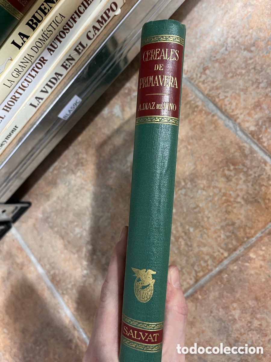 Libros de segunda mano: Blas9C CEREALES DE PRIMAVERA (Salvat) Alfonso D&iacute;az del Pino