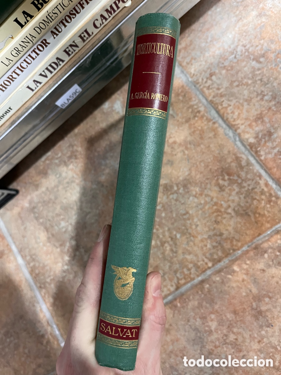 Libros de segunda mano: Blas9C HORTICULTURA. Salvat GARCIA ROMERO