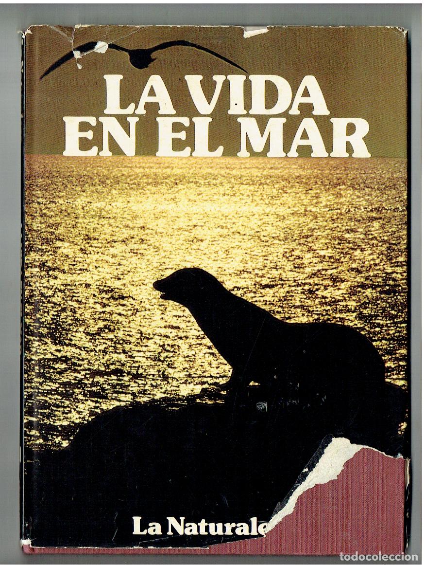 Libros de segunda mano: LA VIDA EN EL MAR. LA NATURALEZA. DR. MAURICE Y JANE BURTON. EDICIONES CASTELL. (B/57)