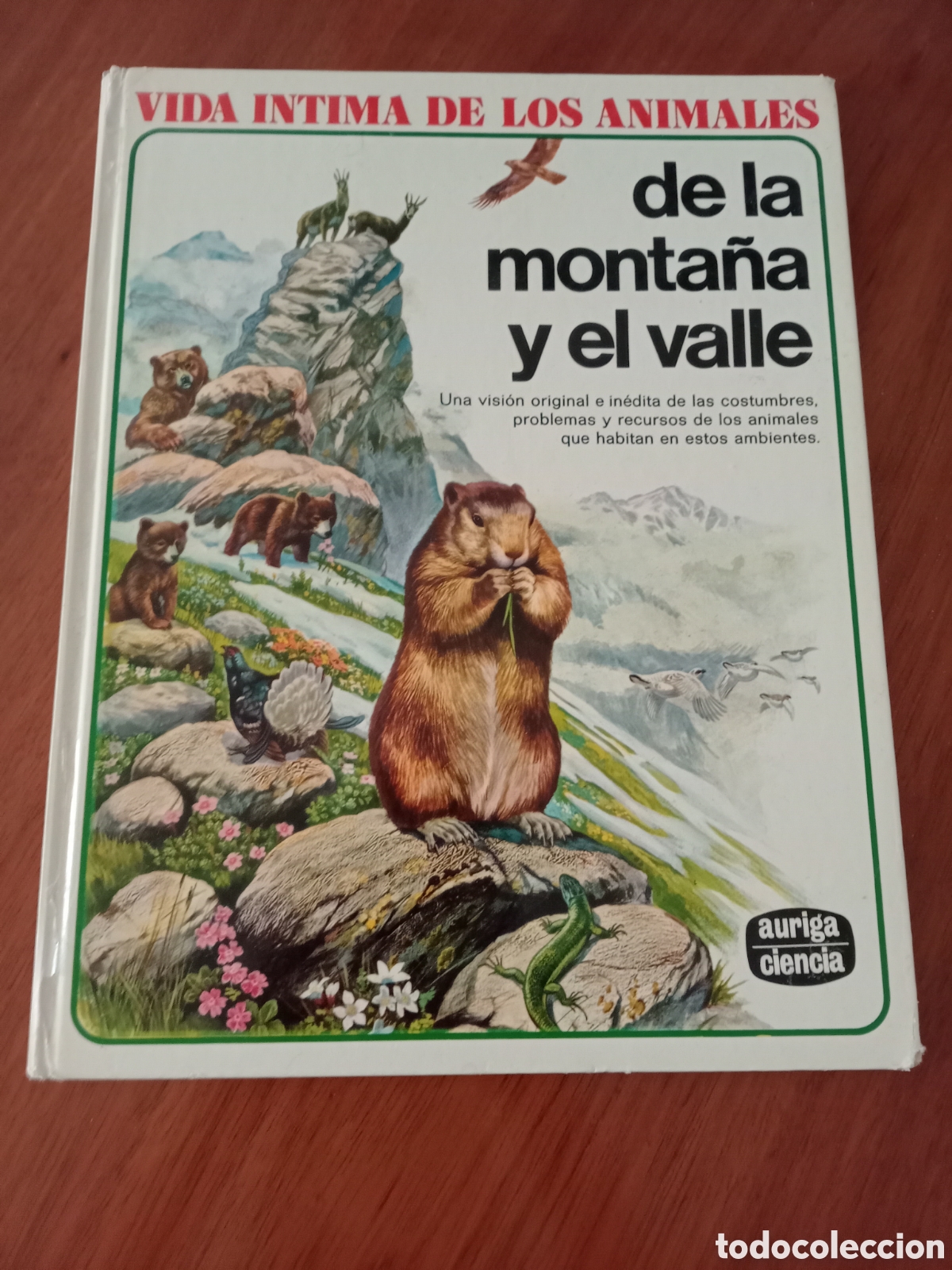 Libros de segunda mano: Vida &iacute;ntima de los animales D&eacute; la monta&ntilde;a y el valle