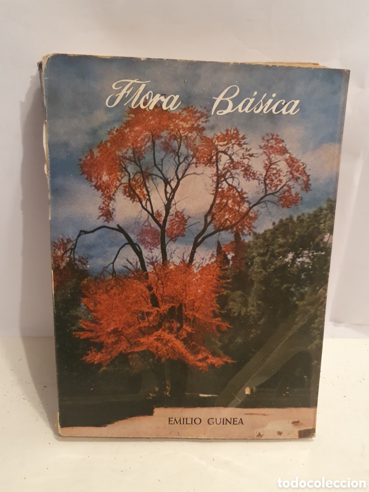 Libros de segunda mano: FLORA BASICA. EMILIO GUINEA. 1962. DEDICADO Y FIRMADO POR EL AUTOR.