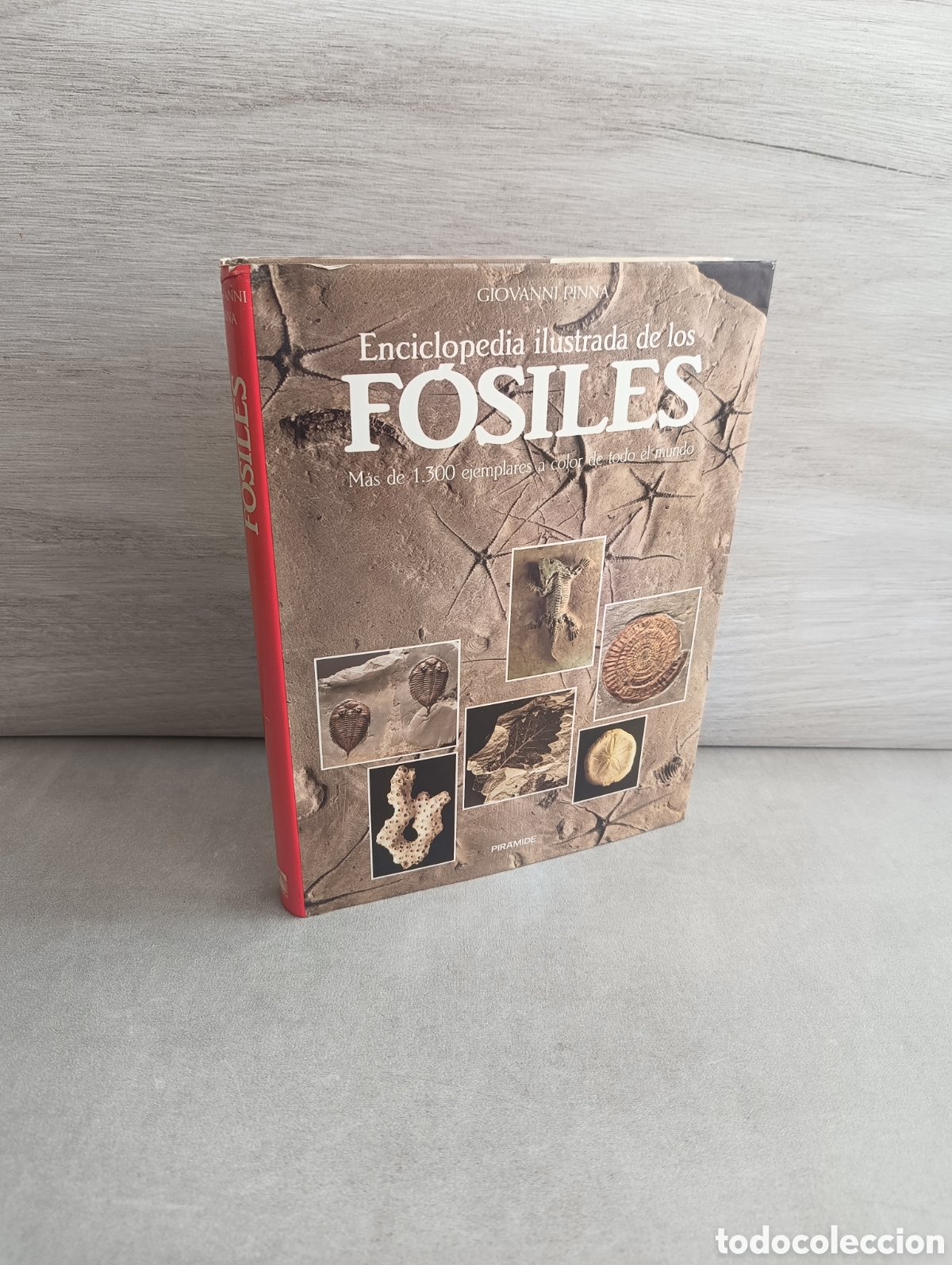 Libri di seconda mano: ENCICLOPEDIA ILUSTRADA DE LOS F&Oacute;SILES. Giovanni Pinna. Editorial: Pir&aacute;mide, 1990.