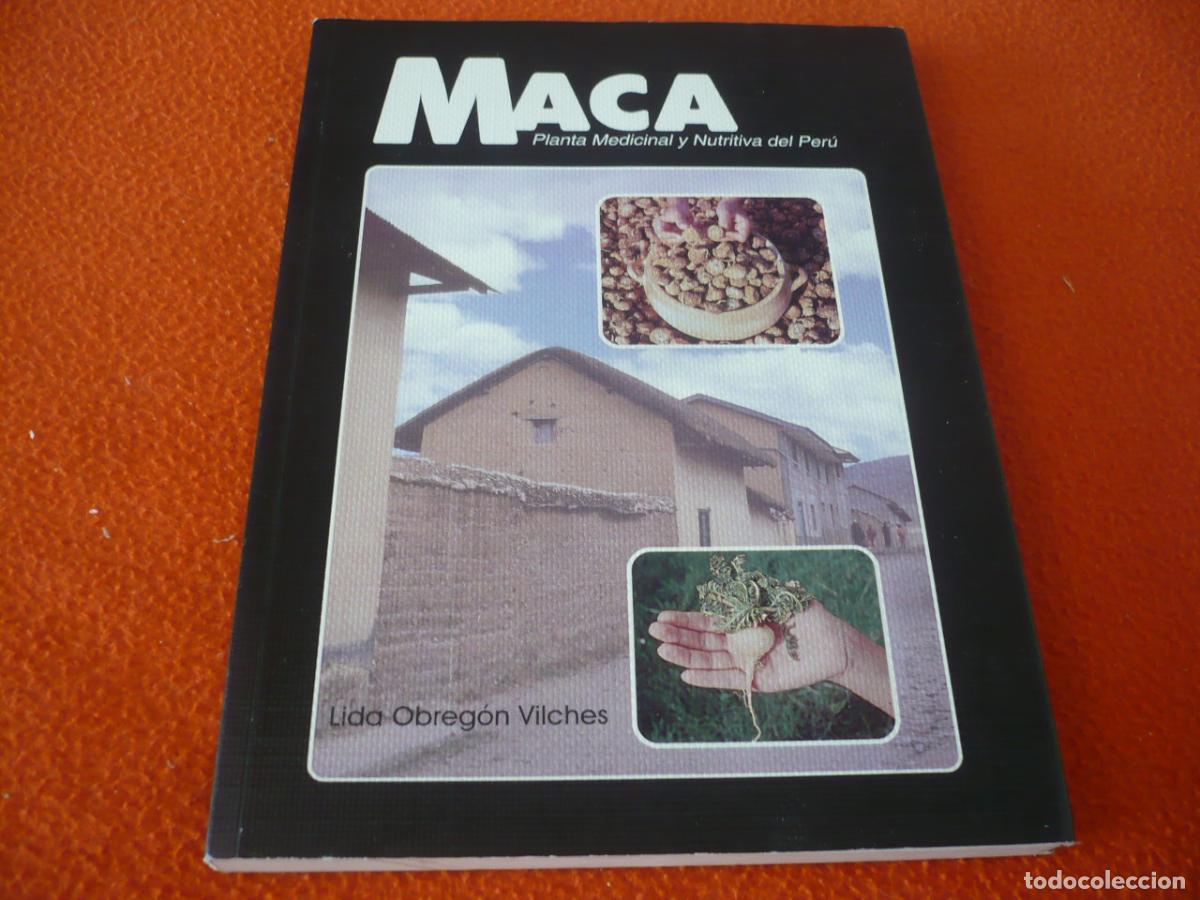Libros de segunda mano: MACA PLANTA MEDICINAL Y NUTRITIVA DEL PERU ( LIDA OBREGON ) FITOTERAPIA ANDES POTENCIA SALUD