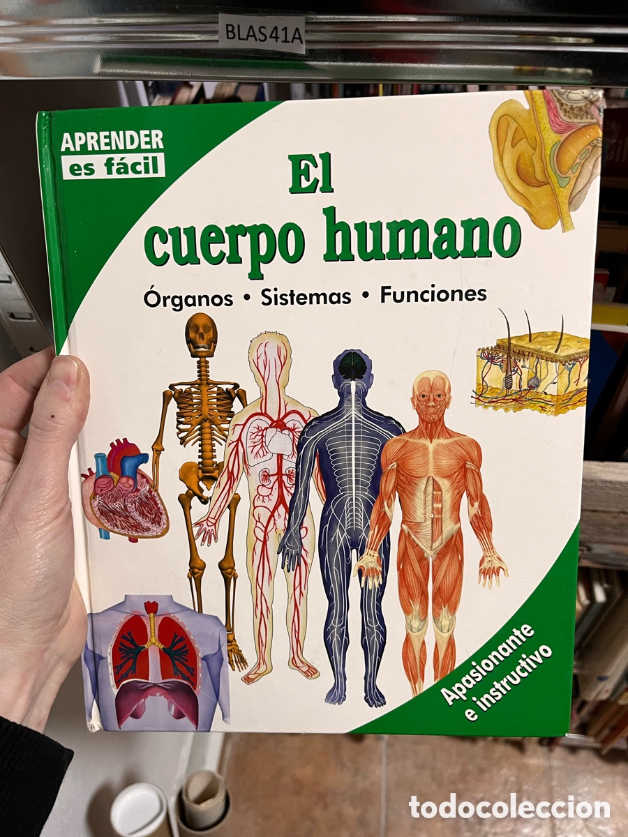 Livres d'occasion: BLAS41A APRENDER es f&aacute;cil EL cuerpo humano &Oacute;rganos &bull; Sistemas &bull; Funciones