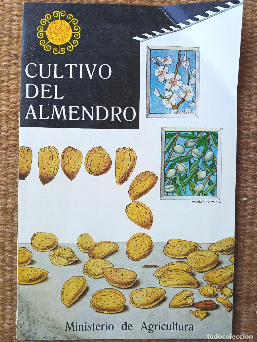 Libros de segunda mano: CULTIVO DEL ALMENDRO - SERIE TECNICA N&ordm; 39 - MINISTERIO DE AGRICULTURA 1969