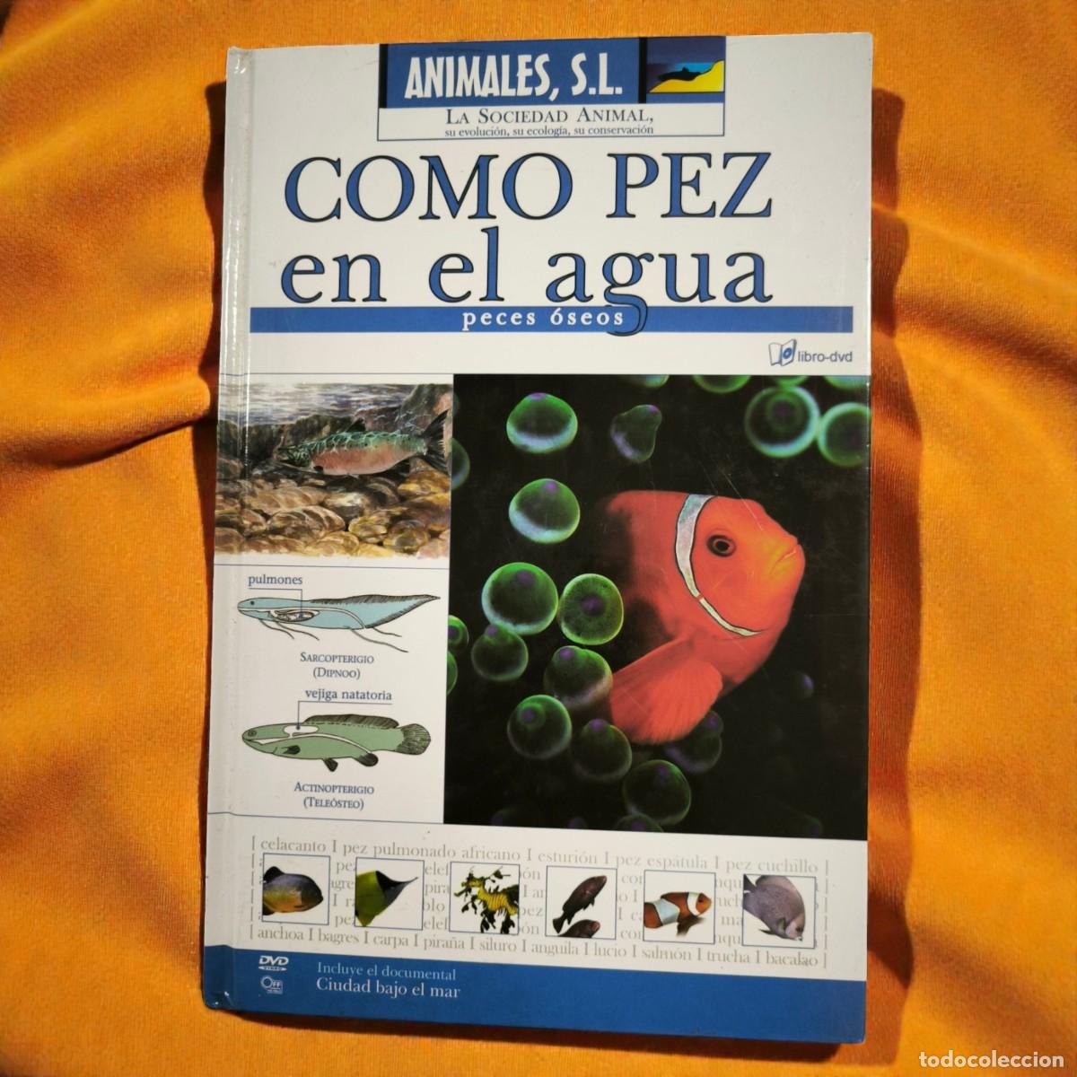 Libros de segunda mano: Como Pez En El Agua Peces &Oacute;seos &ndash; Libro Animales S.L. - Con DVD Documental &rdquo;Abismo&rdquo;