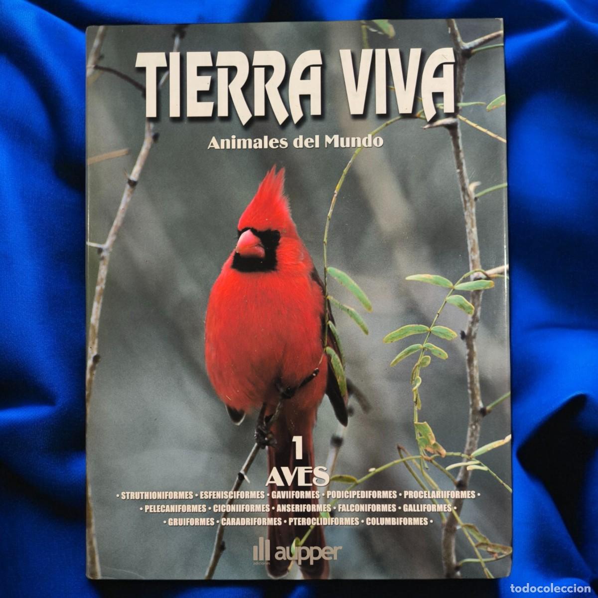 Libros de segunda mano: Tierra Viva Animales Del Mundo 1 Aves &ndash; Gran Libro Ilustrado De Ornitolog&iacute;a Y Naturaleza