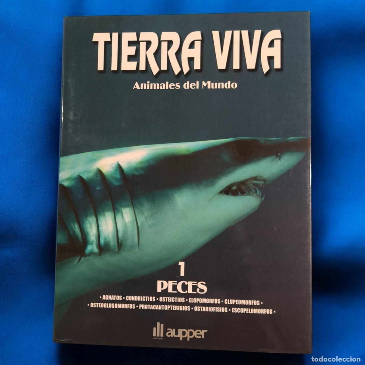 Libros de segunda mano: Tierra Viva Animales Del Mundo 1 Peces &ndash; Gran Libro Ilustrado De Fauna Marina