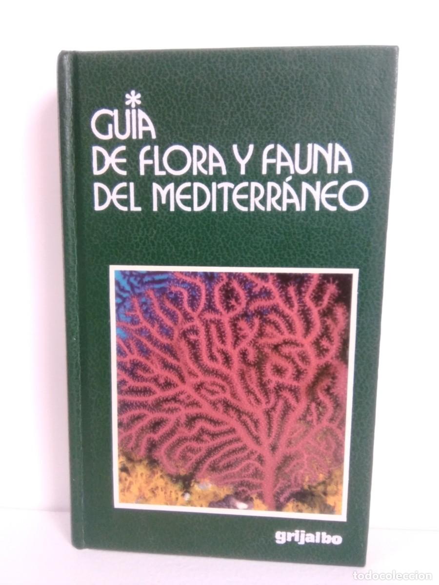 Second hand books: Gu&iacute;a de flora y fauna del Mediterr&aacute;neo. Angelo Mojetta; Andrea Ghisotti