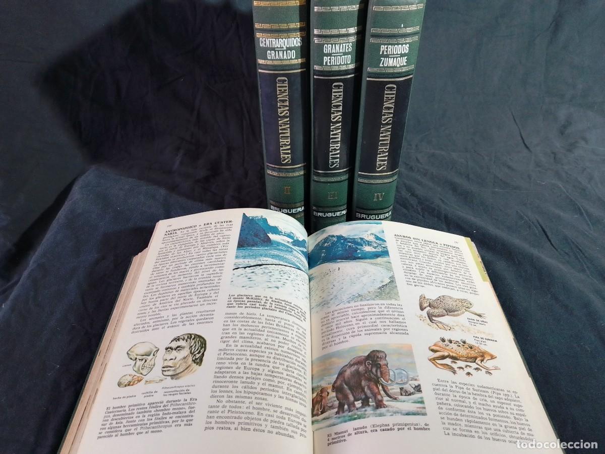 Libros de segunda mano: Ciencias Naturales, Editorial Bruguera, 1969 - Foto 3
