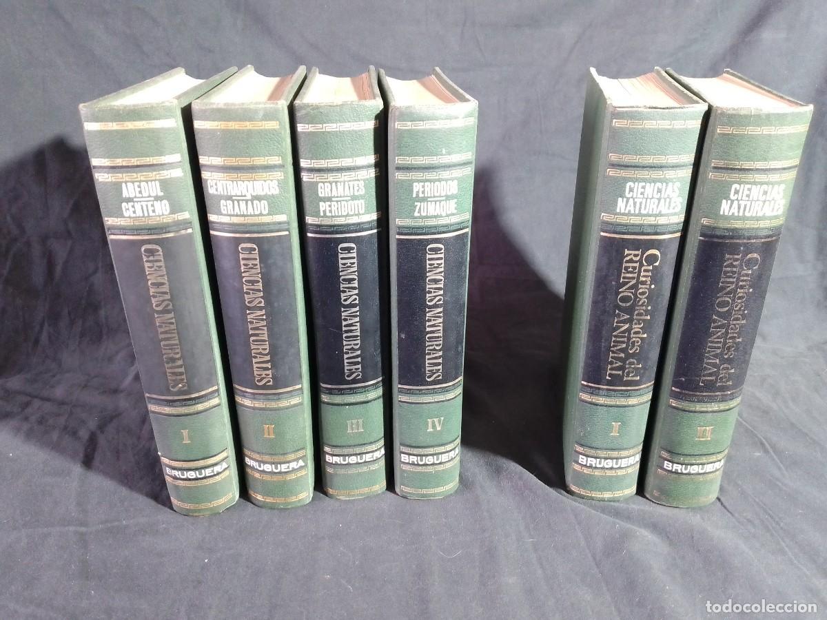 Libros de segunda mano: Ciencias Naturales, Editorial Bruguera, 1969 - Foto 6