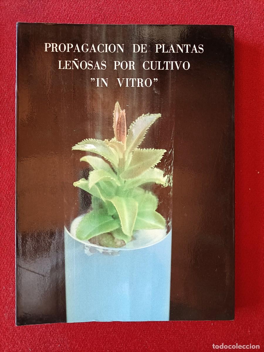 Libros de segunda mano: PROPAGACION DE PLANTAS LE&Ntilde;OSAS POR CULTIVO ( IN VITRO ). VV.AA. 1987