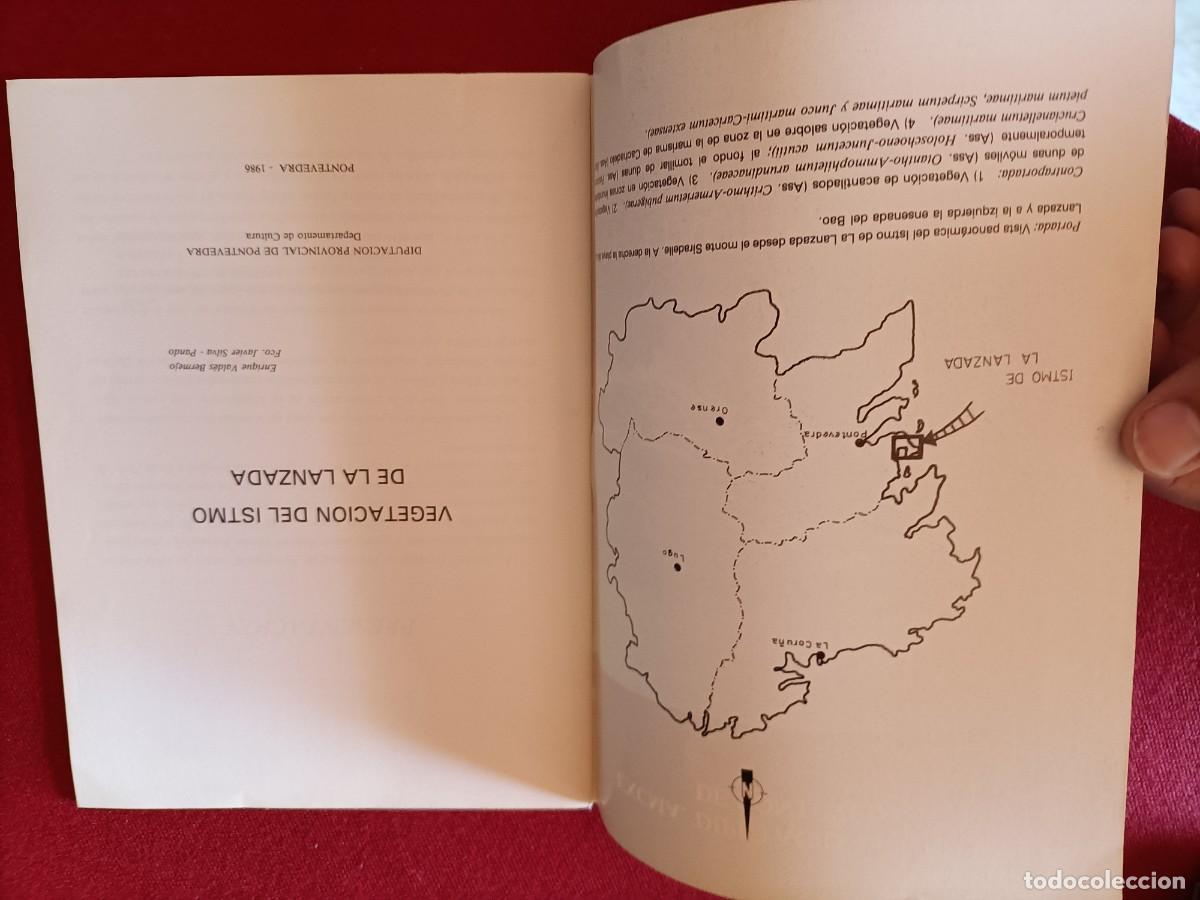 Libros de segunda mano: VEGETACI&Oacute;N DEL ISTMO DE LA LANZADA. VV.AA. 1986 - Foto 3