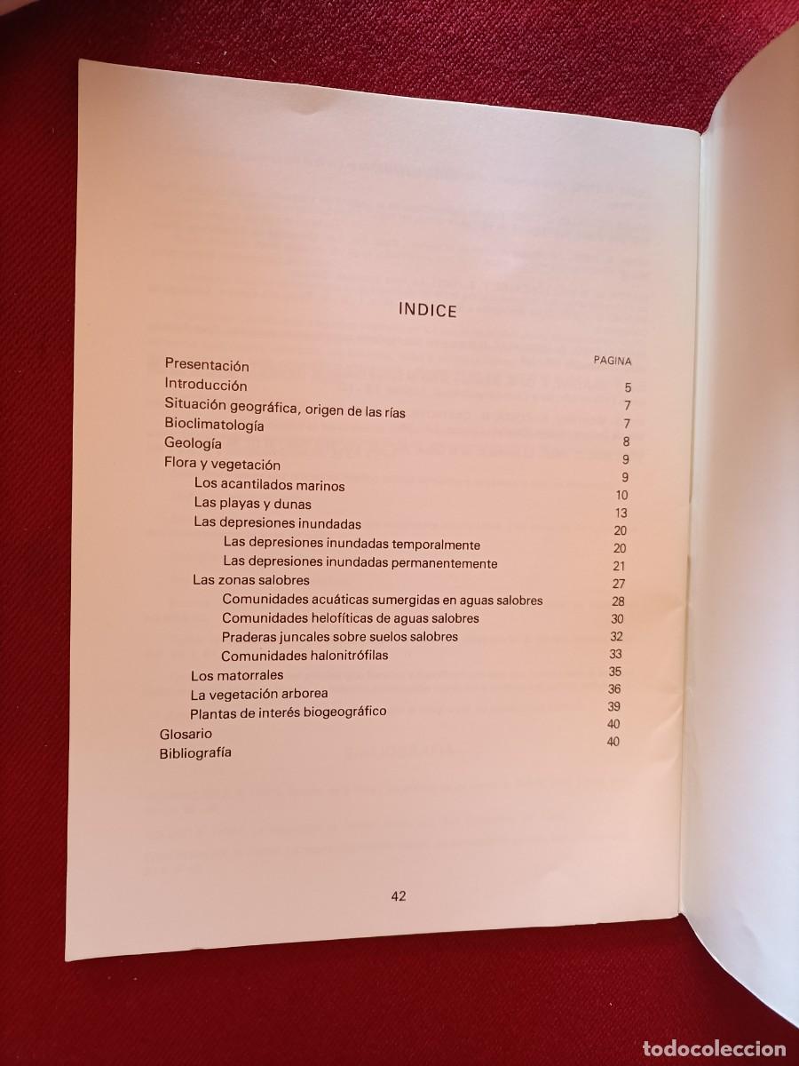 Libros de segunda mano: VEGETACI&Oacute;N DEL ISTMO DE LA LANZADA. VV.AA. 1986 - Foto 4