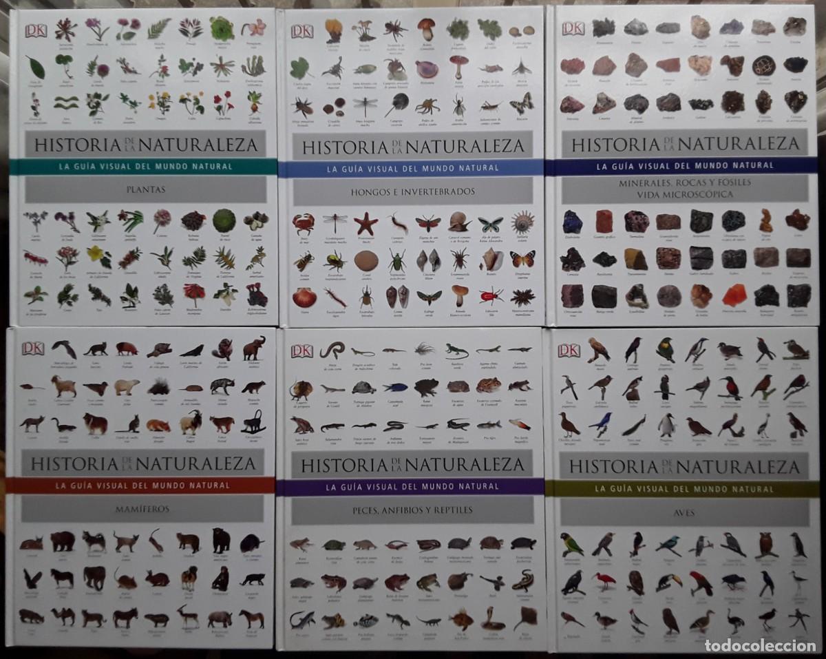 Libros de segunda mano: GU&Iacute;A VISUAL DEL MUNDO NATURAL: MAM&Iacute;FEROS, PLANTAS, MINERALES, AVES, PECES, ANFIBIOS, REPTILES. 6 VOL
