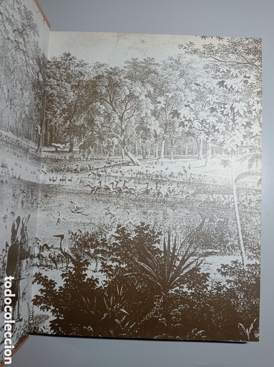 Libros de segunda mano: DARWIN. LA EXPEDICI&Oacute;N EN EL BEAGLE (1831-1836). TEOR&Iacute;A DE LA EVOLUCI&Oacute;N. - Foto 3