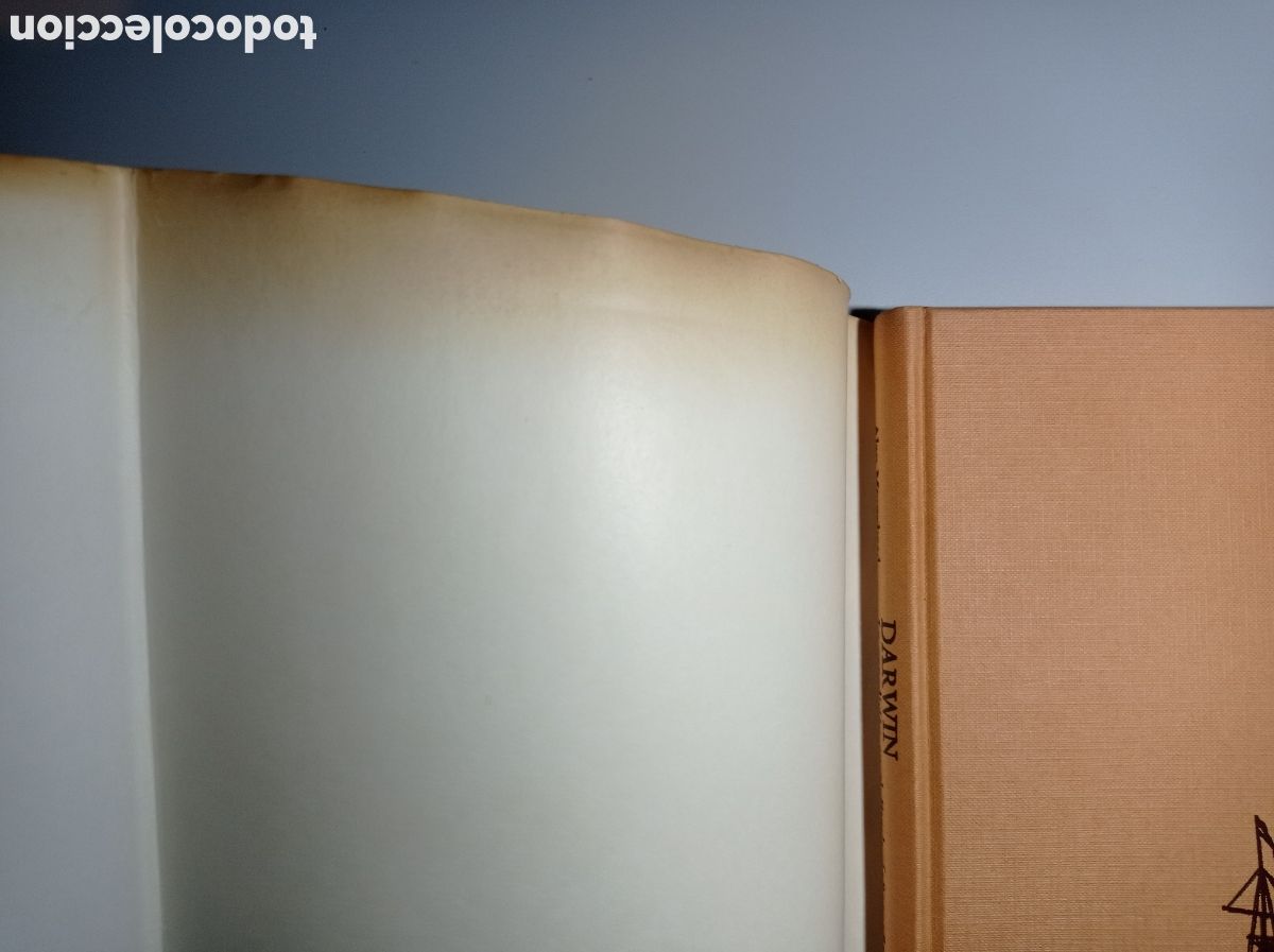 Libros de segunda mano: DARWIN. LA EXPEDICI&Oacute;N EN EL BEAGLE (1831-1836). TEOR&Iacute;A DE LA EVOLUCI&Oacute;N. - Foto 11