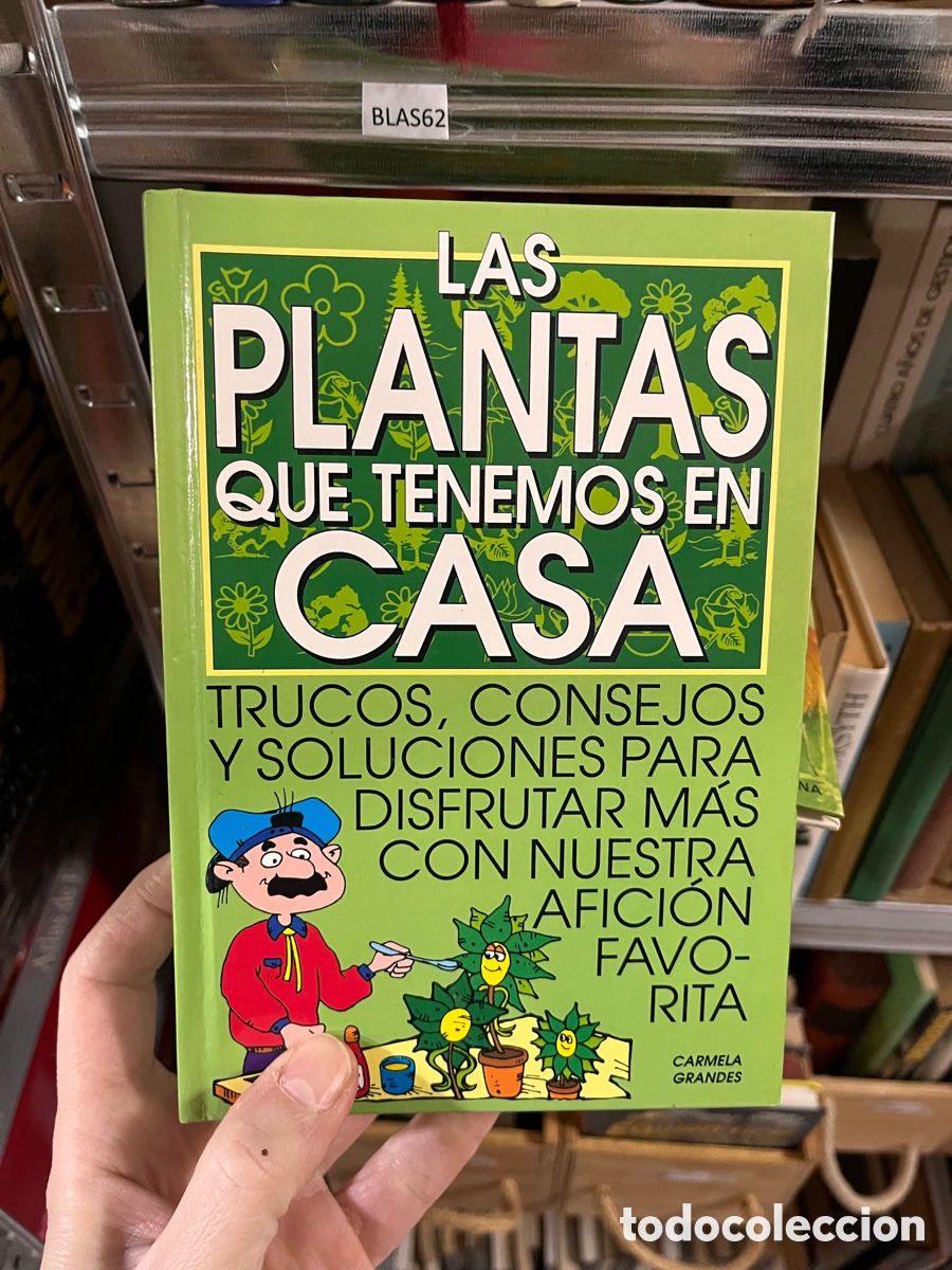 Libros de segunda mano: BLAS62 CARMELA GRANDES LAS PLANTAS QUE TENEMOS EN CASA TRUCOS, CONSEJOS