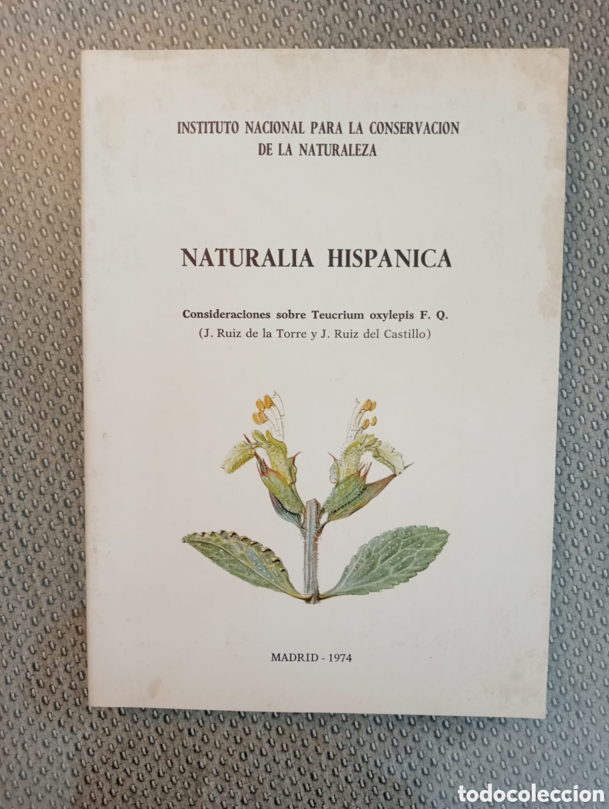 Libros de segunda mano: NATURALIA HISP&Aacute;NICA N&ordm; 1. ICONA. Consideraciones sobre Teucrium oxylepis