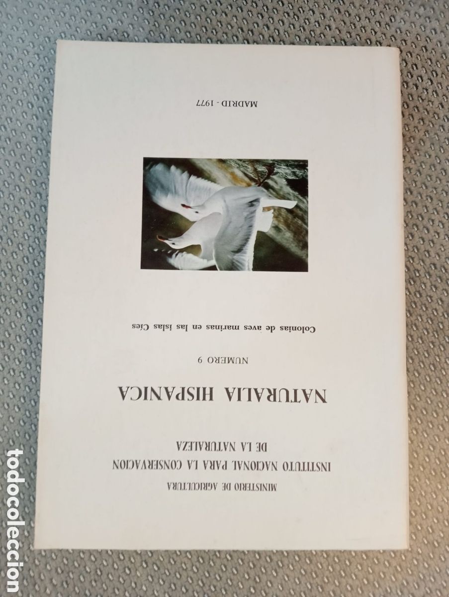 Libros de segunda mano: NATURALIA HISP&Aacute;NICA N&ordm; 9. Colonias de aves marinas en las Islas C&iacute;es. ICONA