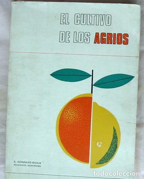 Libros de segunda mano: EL CULTIVO DE LOS AGRIOS - EUSEBIO GONZ&Aacute;LEZ SICILIA - ED. BELLO 1968 - VER INDICE
